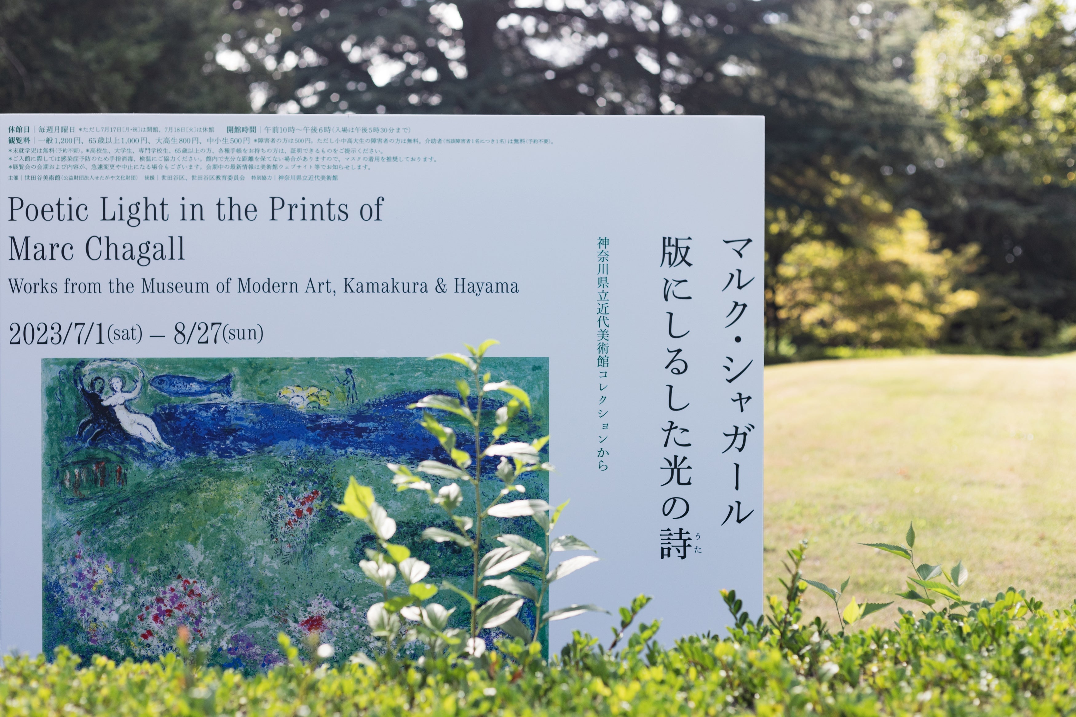 マルク・シャガール 版にしるした光の詩』展 / 世田谷美術館 – At Sea Day