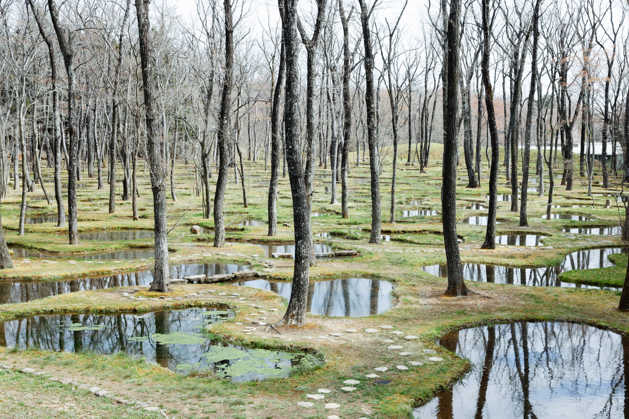 人間の叡智によって造られる静寂の「水庭」へ / アートビオトープ那須