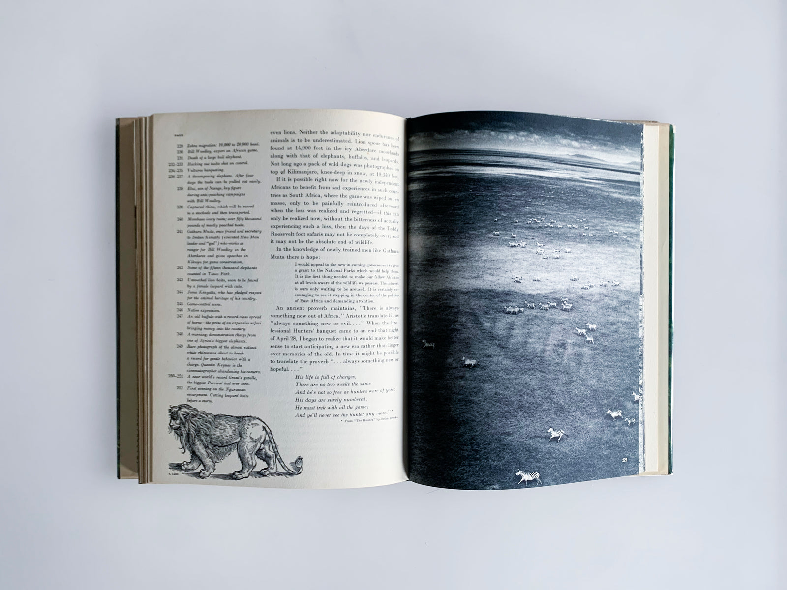 THE END OF THE GAME｜Peter Beard – At Sea Day