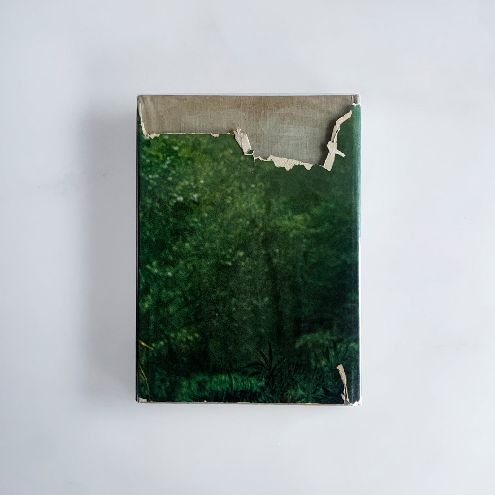 THE END OF THE GAME｜Peter Beard – At Sea Day